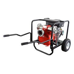 Schmutzwasserpumpe RIVERSIDE TP4V