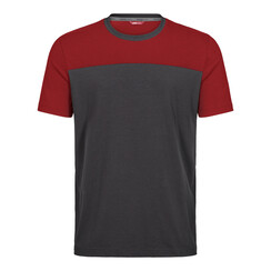 T-Shirt ENGEL Entire / anthrazit-flame (rot)